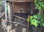 Kippenhok met buitenren, Dieren en Toebehoren, Pluimvee | Toebehoren, Ophalen, Gebruikt, Kippenhok of Kippenren