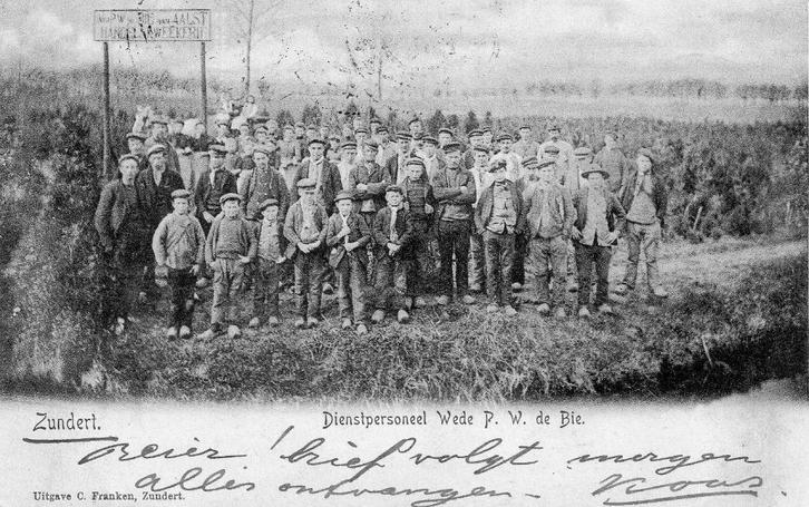 Zundert - Dienstpersoneel handelskwekerij Wed. De Bie 1905, Verzamelen, Ansichtkaarten | Nederland, Gelopen, Noord-Brabant, Voor 1920