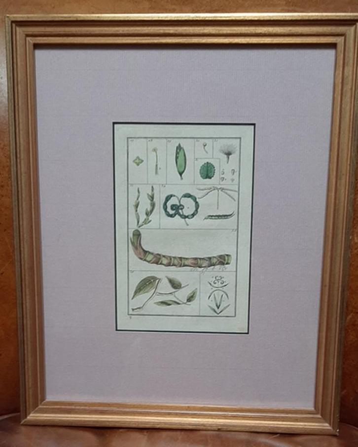 Originele gravure uit 1803, Antiek en Kunst, Kunst | Etsen en Gravures, Ophalen