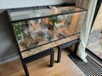 3 rattenslangen met 3D terrarium, Dieren en Toebehoren, Reptielen en Amfibieën | Toebehoren, Terrarium of Paludarium, Zo goed als nieuw