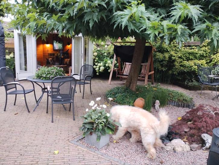 Tuinhuis 5 jaar oud als nieuw, Tuin en Terras, Tuinhuizen, Zo goed als nieuw, Ophalen