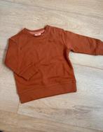 Trui, Kinderen en Baby's, Babykleding | Maat 62, Ophalen of Verzenden, Zo goed als nieuw, Jongetje of Meisje, Truitje of Vestje