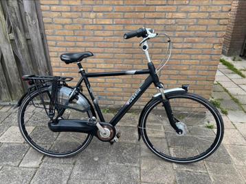 Keurige gazelle orange c7+ beschikbaar voor biedingen