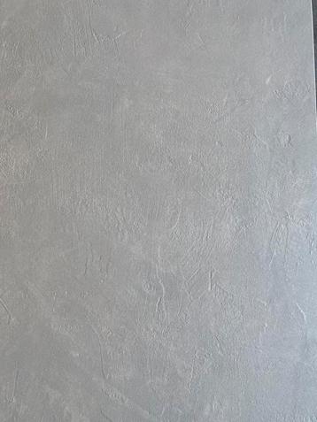 36  m2 XXL tegels 120x60 Casamood ERG MOOI 15 euro per m2 beschikbaar voor biedingen