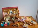 Sylvanian Families huis en extra's, Verzamelen, Poppenhuizen en Toebehoren, Ophalen of Verzenden, Gebruikt, Poppenhuis