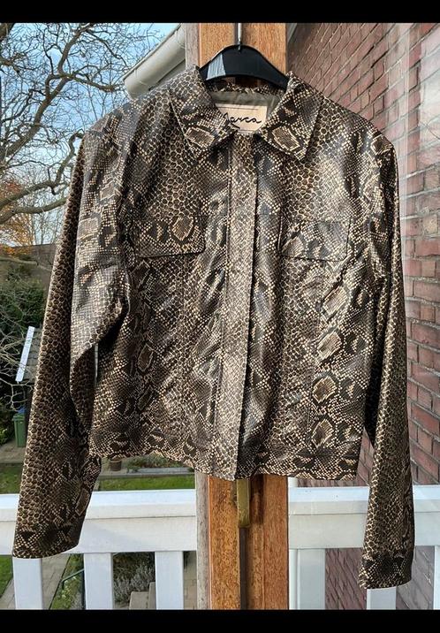 Leuk jasje, reptielen / slangen print. Kunststof ruime mt 38, Kleding | Dames, Jasjes, Kostuums en Pakken, Ophalen of Verzenden