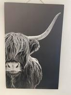 Canvas Schotse Hooglander 115x75, Ophalen, Zo goed als nieuw, 75 tot 100 cm, Foto of Poster