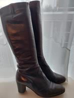 Palm Roth dames laarzen maat 41, kleur bruin, Ophalen of Verzenden, Gedragen, Bruin, Hoge laarzen
