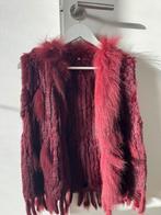 Konijnenvacht bontje - gilet - bodywarmer bordeaux kleur, Kleding | Dames, Ophalen of Verzenden, Zo goed als nieuw, Maat 46/48 (XL) of groter
