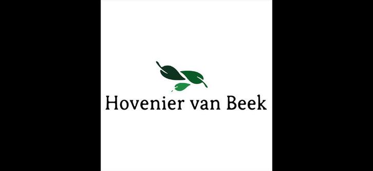 Gezocht/Stratenmaker/Hovenier/Tuinman/Timmerman met ervaring, Vacatures, Vacatures | Techniek, MBO, Vanaf 3 jaar, Overige vormen