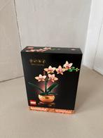 LEGO Botanicals Mini Orchid/Orchidee - 10343 - 274 pcs, Ophalen of Verzenden, Minder dan 500 stukjes, Nieuw, Rubik's of 3D-puzzel
