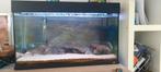 80cm aqaurium met tropische vissen, Ophalen of Verzenden, Gebruikt, Gevuld zoetwateraquarium