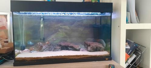 80cm aqaurium met tropische vissen, Dieren en Toebehoren, Vissen | Aquaria en Toebehoren, Gebruikt, Gevuld zoetwateraquarium, Ophalen of Verzenden