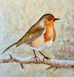 Aquarel van een schattig roodborstje, Ophalen of Verzenden