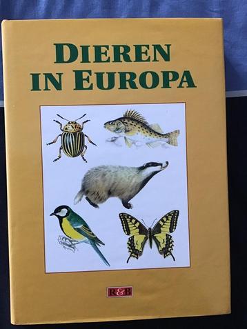 Dieren in Europa beschikbaar voor biedingen