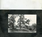 Ansicht Doorwerth - De Duno, Verzenden, Ongelopen, Gelderland