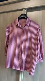 Ydence blouse nieuw met top, Ophalen of Verzenden, Nieuw, Maat 42/44 (L), Roze