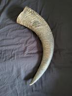 Grote Hoorn - Decoratief Object, Ophalen of Verzenden