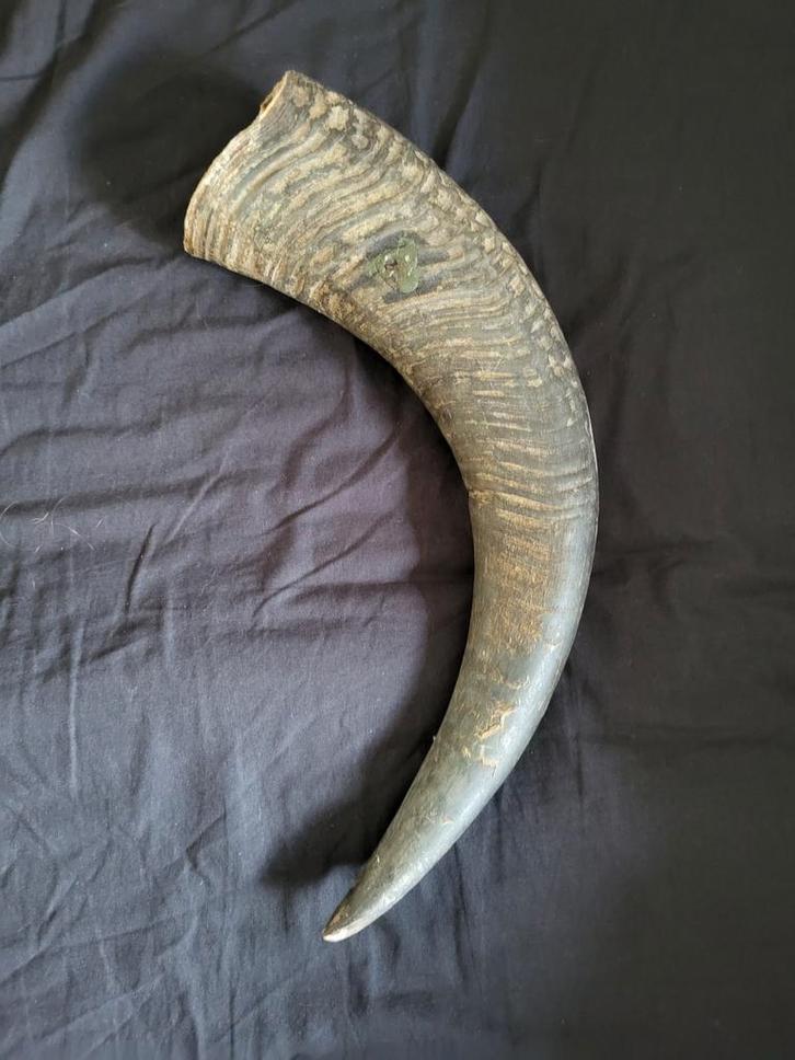 Grote Hoorn - Decoratief Object, Antiek en Kunst, Antiek | Overige Antiek, Ophalen of Verzenden