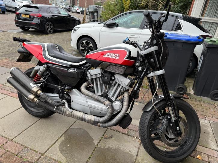 Harley Davidson XR1200 (09/2010) IN DIVERSE KLEURSTELLINGEN, Motoren, Motoren | Harley-Davidson, Particulier, Naked bike, meer dan 35 kW