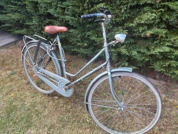 Diverse Bikes.   Most need a little love. But ok! beschikbaar voor biedingen