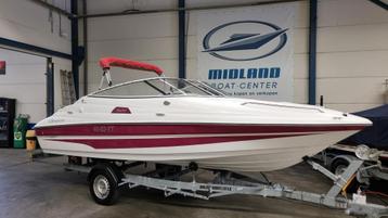 Campion Allante 565 Met 4,3 V6 en trailer (bj 2004) beschikbaar voor biedingen