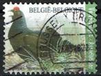 Korhoen Buzin 2013 (OBP 4305 ), Postzegels en Munten, Postzegels | Europa | België, Verzenden, Gestempeld