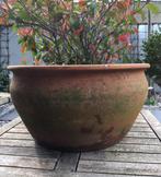 Oude antieke bloempot terracotta kwaliteit 36cm, Tuin en Terras, Bloempotten, 25 tot 40 cm, Gebruikt, Rond, Binnen