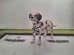 Schleich Dalmatiër 16346, Ophalen of Verzenden, Gebruikt, Hond of Kat, Beeldje of Figuurtje