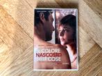 Il Colore Naacosto Delle Cose (2017) DVD (krasvrij, met NL), Cd's en Dvd's, Dvd's | Filmhuis, Alle leeftijden, Ophalen of Verzenden