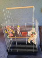 Vogelkooi met accessoires, Dieren en Toebehoren, Vogels | Hokken en Kooien, Ophalen, Gebruikt, Metaal, Vogelkooi