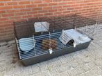 Cavia kooi zgan 118x58x50 cm met extras zoals tunnel, wc., Kooi, 110 cm of meer, Zo goed als nieuw, Cavia