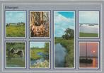 EIBERGEN Koeien Reiger Nest Landschappen, Verzamelen, Ansichtkaarten | Nederland, Verzenden, 1980 tot heden, Gelopen, Gelderland