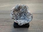 Chalcedoon geode op houten voet no 2, Verzamelen, Ophalen, Mineraal