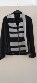 Damespakje 2-delig Chiarico maat L, Kostuum of Pak, Overige kleuren, Ophalen of Verzenden, Zo goed als nieuw