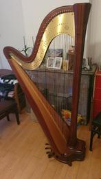 Te huur Salvi Daphne EX 47-snarige Pedaal Concert Harp, Muziek en Instrumenten, Ophalen, Zo goed als nieuw