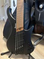 Ibanez EHB1005ms-BKF, Muziek en Instrumenten, Snaarinstrumenten | Gitaren | Bas, Ophalen, Zo goed als nieuw, Elektrisch, 5-snarig