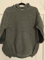Inti trui, Kleding | Dames, Maat 42/44 (L), Ophalen of Verzenden, Zo goed als nieuw, Inti