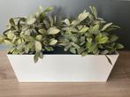 Metalen plantenstandaard ikea, Huis en Inrichting, Woonaccessoires | Overige, Ophalen of Verzenden, Zo goed als nieuw