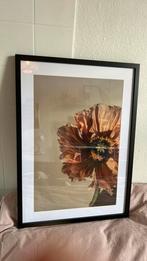 Lijst 50 x 70, Huis en Inrichting, Woonaccessoires | Lijsten, Ophalen, Zo goed als nieuw, Hout, 50 tot 75 cm