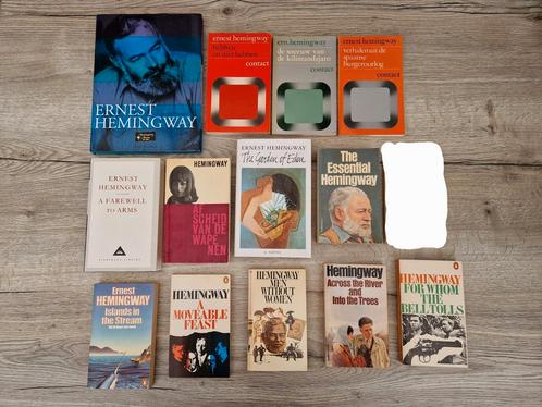 Amerikaanse literatuurboeken (o.a. Hemingway, Atwood, Roth), Boeken, Partijen en Verzamelingen, Zo goed als nieuw, Ophalen of Verzenden