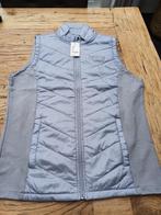 NIEUWE grijze soepel vallende body warmer maat L, Ophalen of Verzenden, Nieuw, Maat 52/54 (L), Grijs