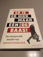 Gerard Sanderink, Ophalen of Verzenden, Zo goed als nieuw, Economie en Marketing