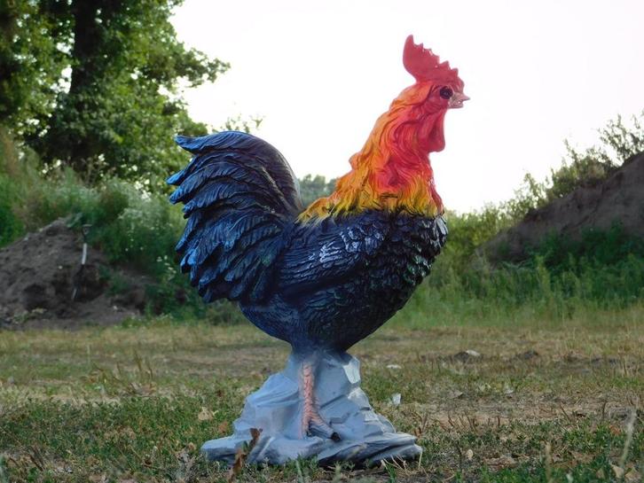 Beeld Haan XL - 65 cm - Polystone in Kleur, Tuin en Terras, Tuinbeelden, Dierenbeeld, Kunststof, Ophalen of Verzenden
