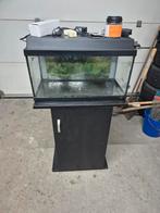 Juwel 60 liter compleet, Dieren en Toebehoren, Ophalen, Zo goed als nieuw, Gevuld zoetwateraquarium