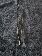 Te koop zilverkleurige halsketting met hangertje., Sieraden, Tassen en Uiterlijk, Kettingen, Ophalen of Verzenden, Zo goed als nieuw