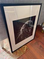 Laurent Baheux Foto - Yellowkorner, Antiek en Kunst, Ophalen