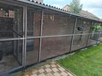 Zeer ruime volière met sluis, Dieren en Toebehoren, Ophalen, Gebruikt, Hout, Volière
