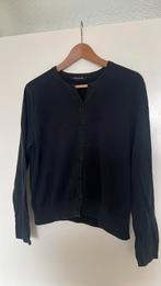 Joline Jolink zwart vest mt M, Ophalen of Verzenden, Zo goed als nieuw, Zwart