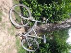 Mountainbike, Overige merken, Gebruikt, Minder dan 45 cm, Hardtail